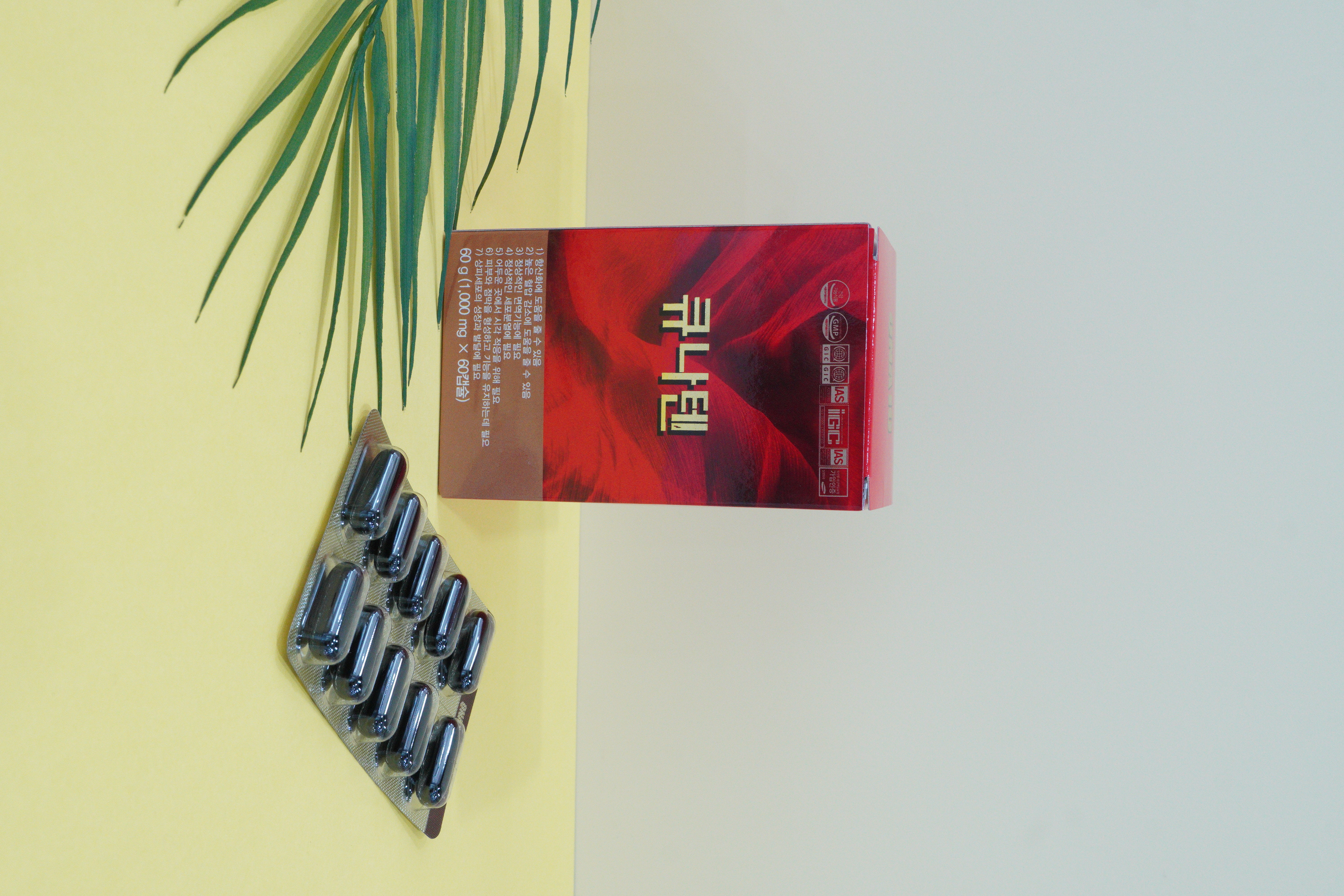 큐나텐 (1개월/60정)